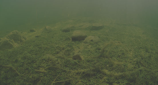 Genesis Edge* subscribers can create map layers that show the location, shape and depth of areas of submerged vegetation and varying bottom hardness. Genesis Edge* subscribers can create map layers that show the location, shape and depth of areas of submerged vegetation and varying bottom hardness.